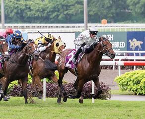 2017 Singapore Patron’s Bowl winner, Alibi (NZ) (Darci Brahma).